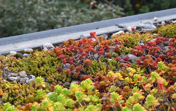 the cost of Chipley green roof installation