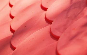 Chipley plastic roof costs